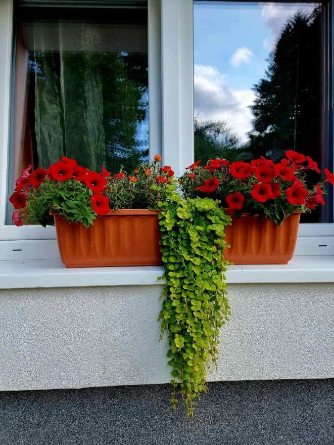 Haus Bierherr Apartment *