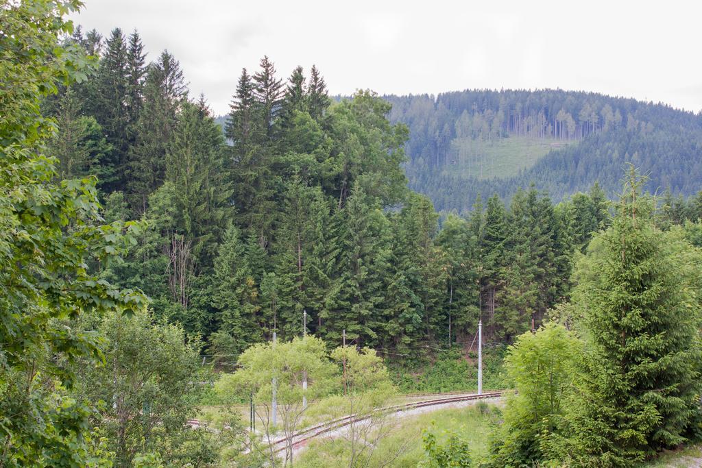 Apartment Haus Bierherr Mariazell